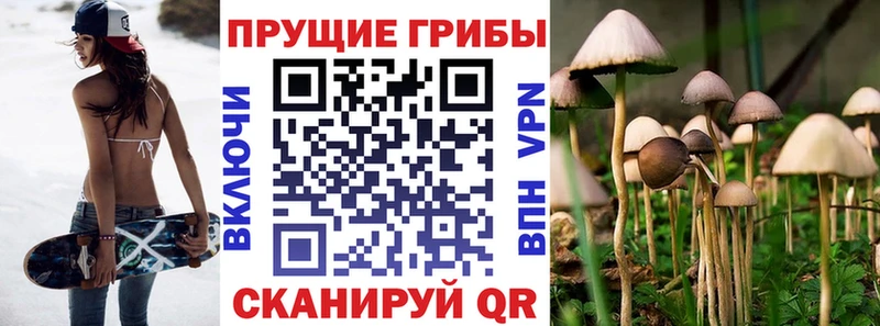 Псилоцибиновые грибы GOLDEN TEACHER  Красноуфимск 